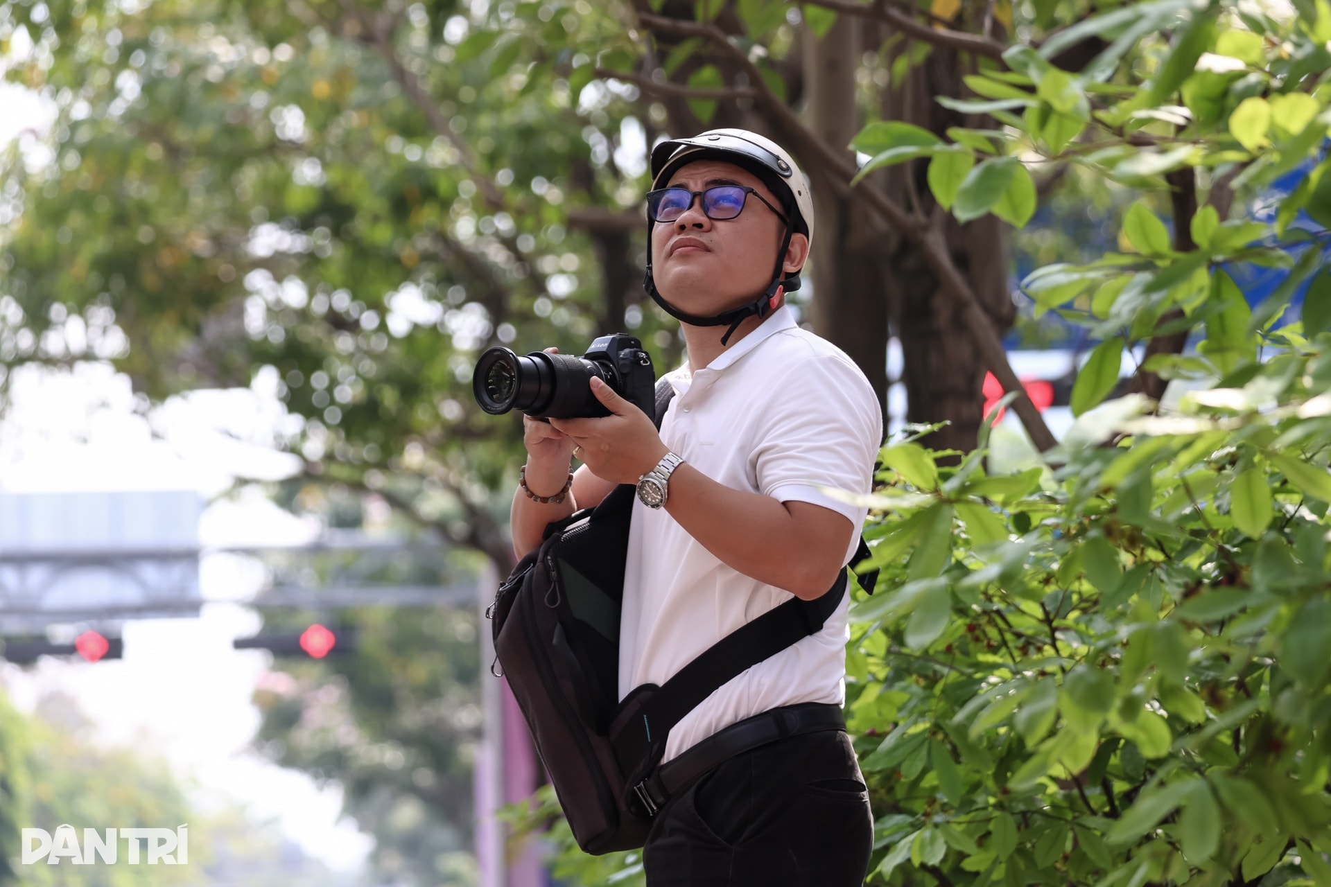 Sắc hồng bao phủ các con đường ở TPHCM - 8