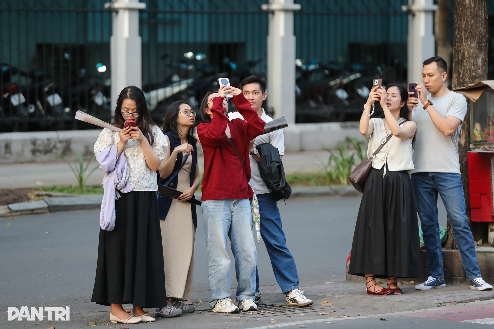 Sắc hồng bao phủ các con đường ở TPHCM - 7