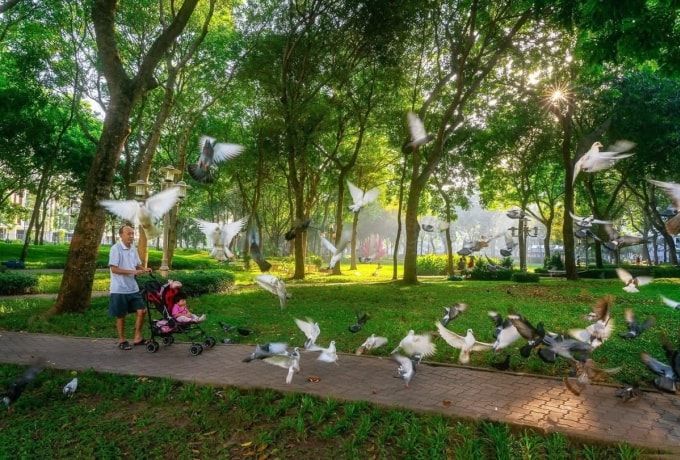 Một góc dự án Celadon City tại TP HCM. Ảnh: Gamuda Land