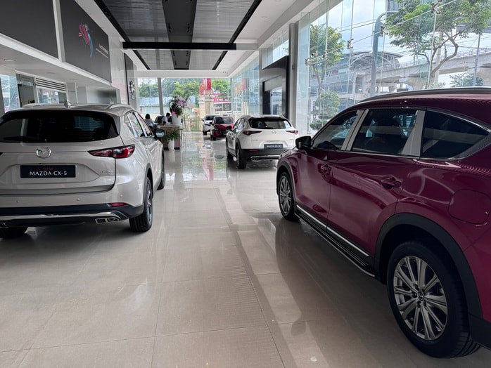 Tiêu thụ ô tô giảm mạnh tháng 2 - 2026: Thực trạng và lý do - Ảnh 2.