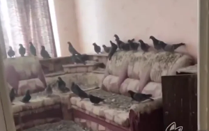 Nam thanh niên 15 tuổi đau bụng dữ dội, bác sĩ sốc khi phát hiện thứ "đáng sợ" bên trong - Ảnh 3.