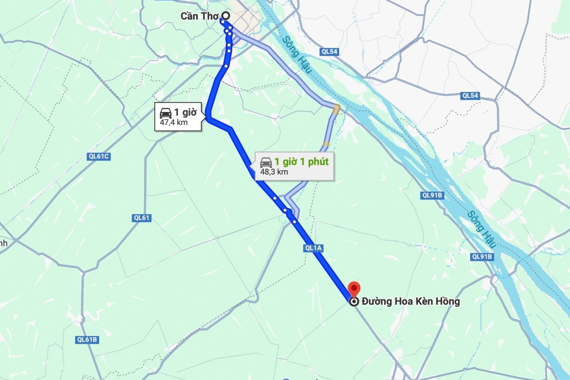 Con đường hoa kèn hồng đẹp nhất miền Tây khiến du khách mê mẩn tạo dáng - 10