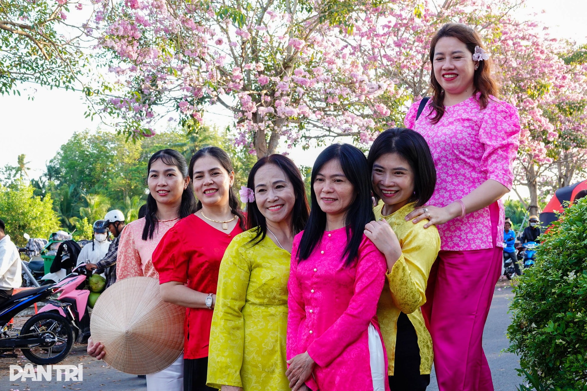 Con đường hoa kèn hồng đẹp nhất miền Tây khiến du khách mê mẩn tạo dáng - 6