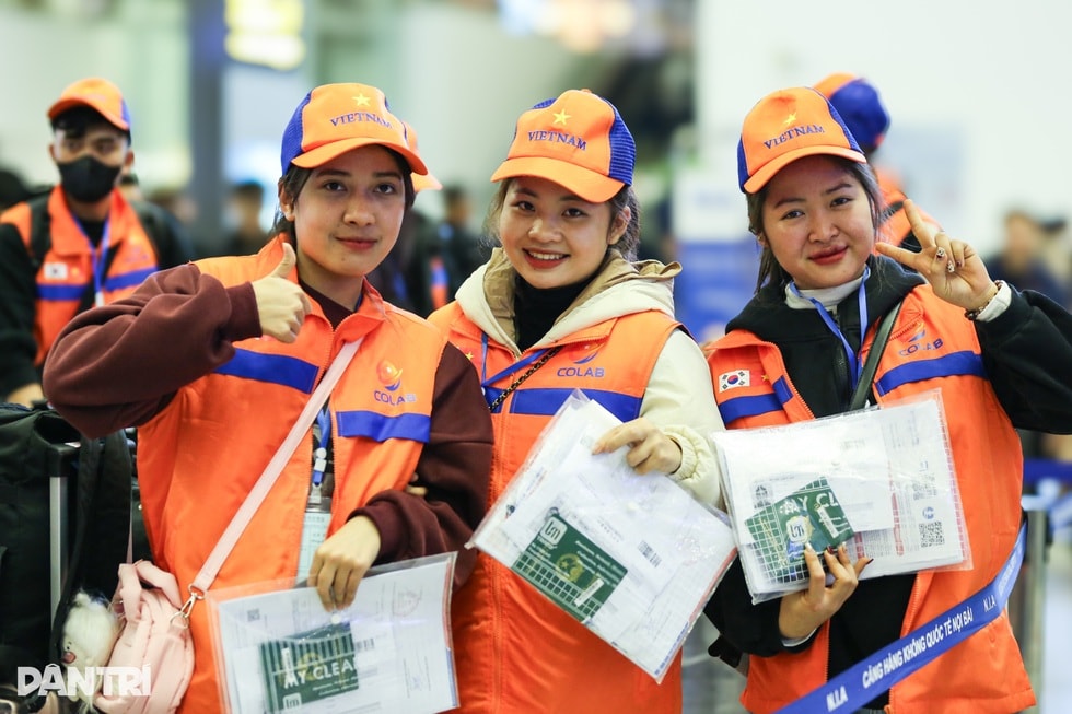 Tháo gỡ điểm nghẽn, nâng tầm hoạt động đưa lao động Việt ra nước ngoài - 7