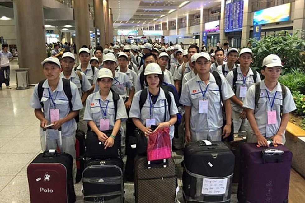 Tháo gỡ điểm nghẽn, nâng tầm hoạt động đưa lao động Việt ra nước ngoài - 3