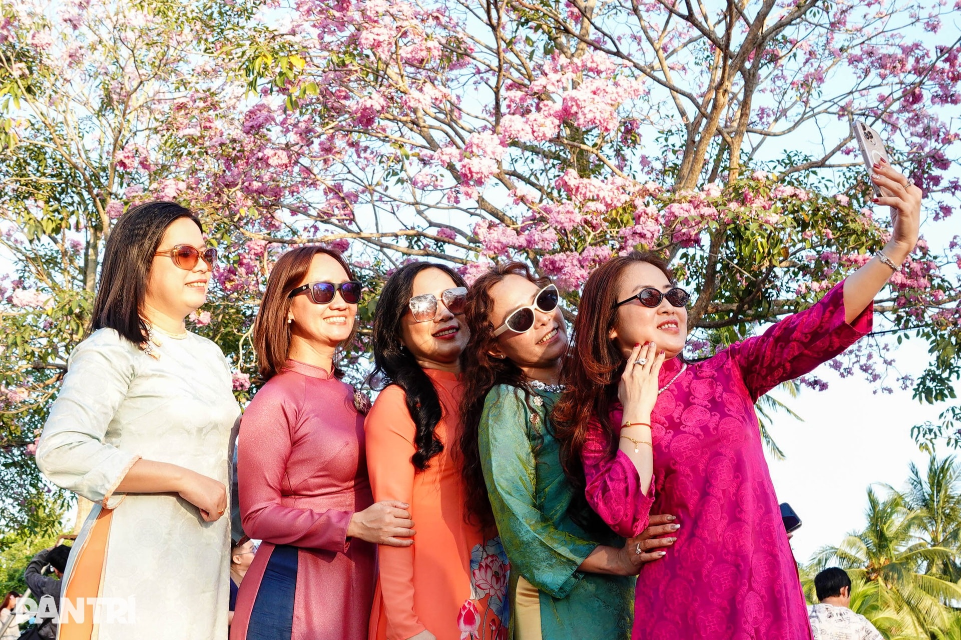 Con đường hoa kèn hồng đẹp nhất miền Tây khiến du khách mê mẩn tạo dáng - 7