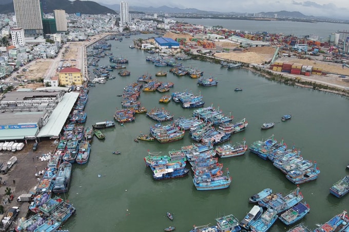 Hàng trăm tàu cá đang neo đậu ở cảng cá Quy Nhơn sáng 9/3. Ảnh: Trần Hóa