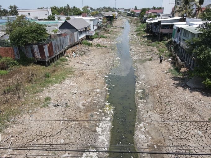 Hạn mặn ở Cà Mau năm 2024. Ảnh: Thanh Tùng