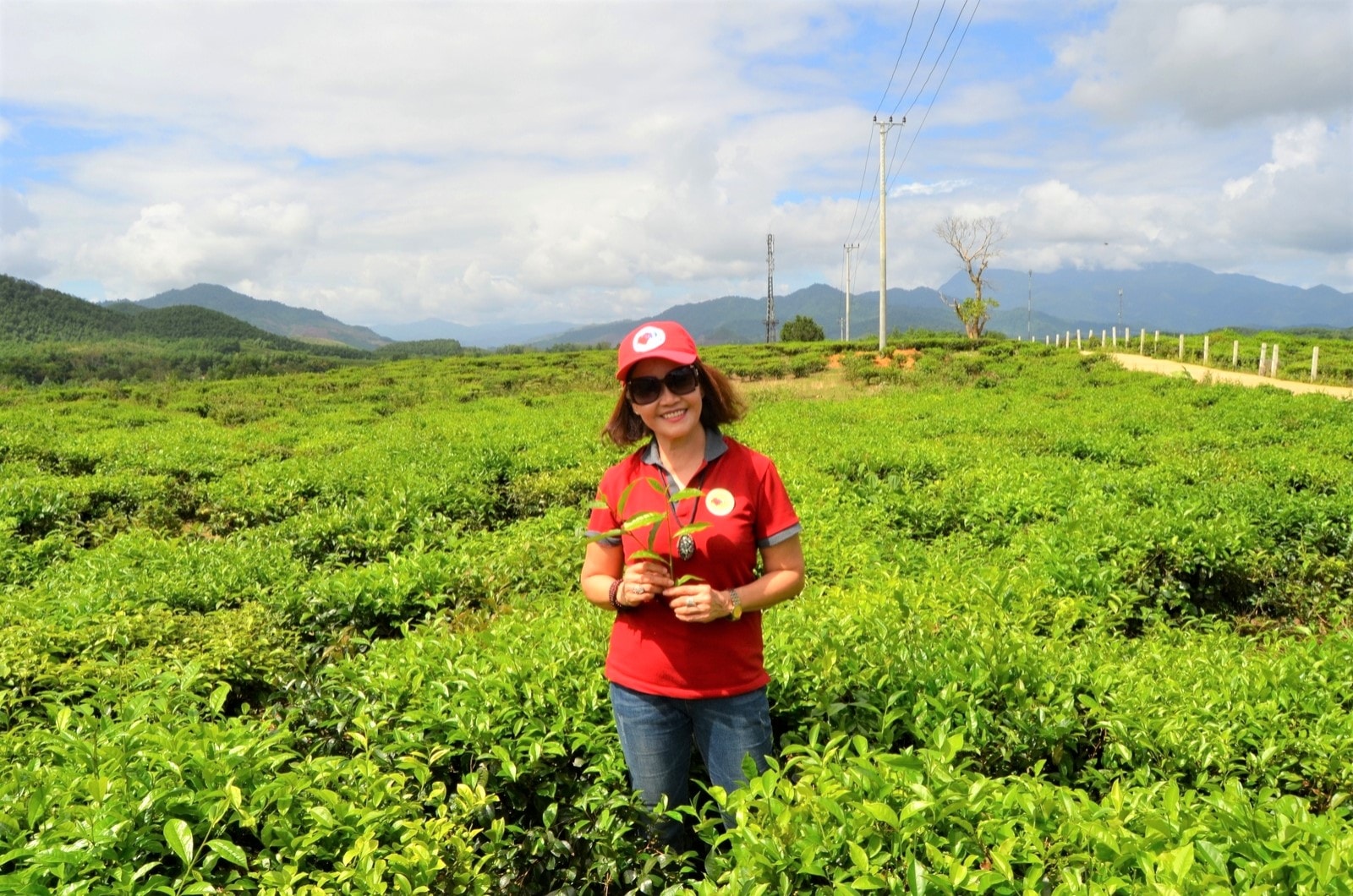 Hương chè Quyết Thắng vùng cao - Ảnh 3.