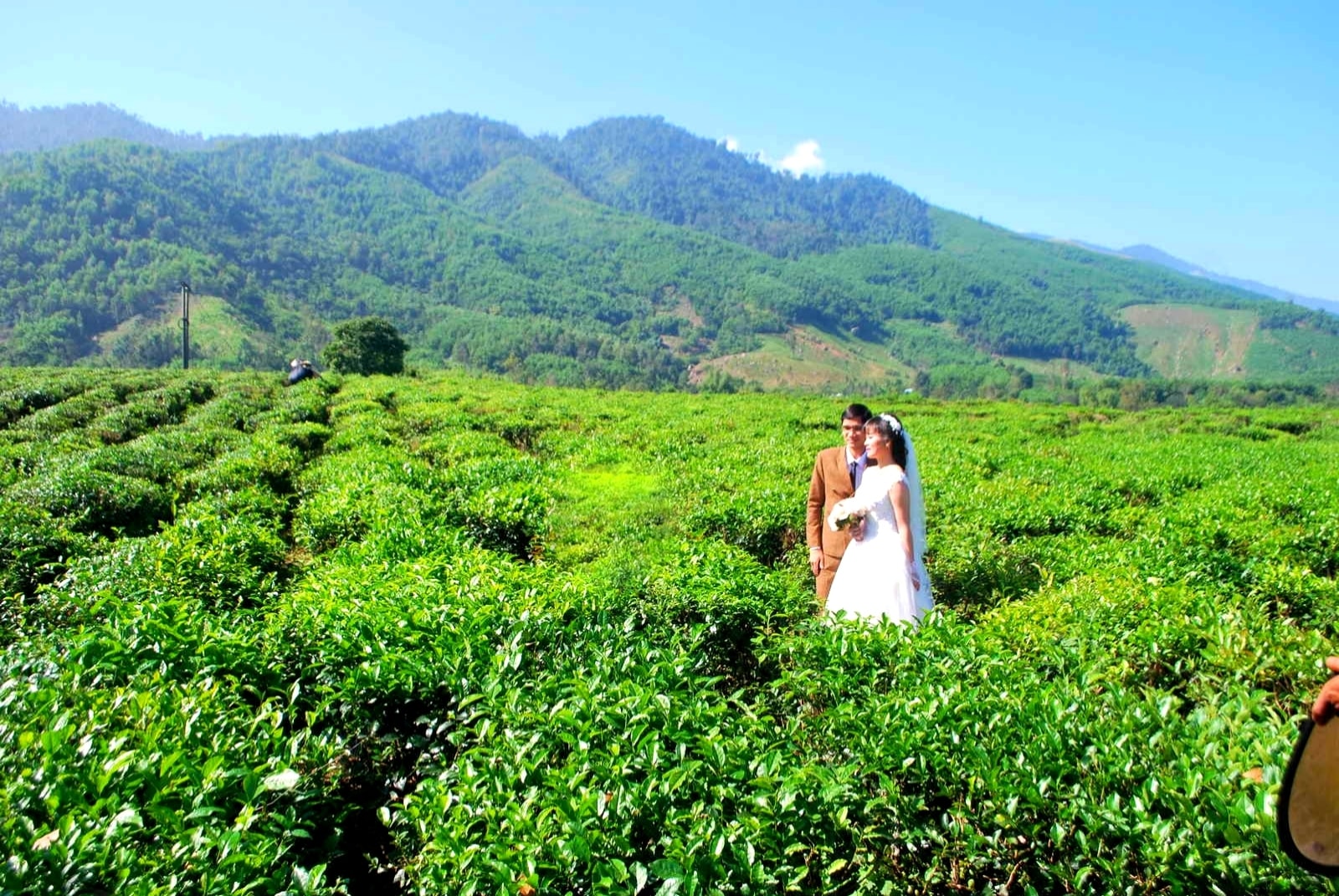 Hương chè Quyết Thắng vùng cao - Ảnh 7.