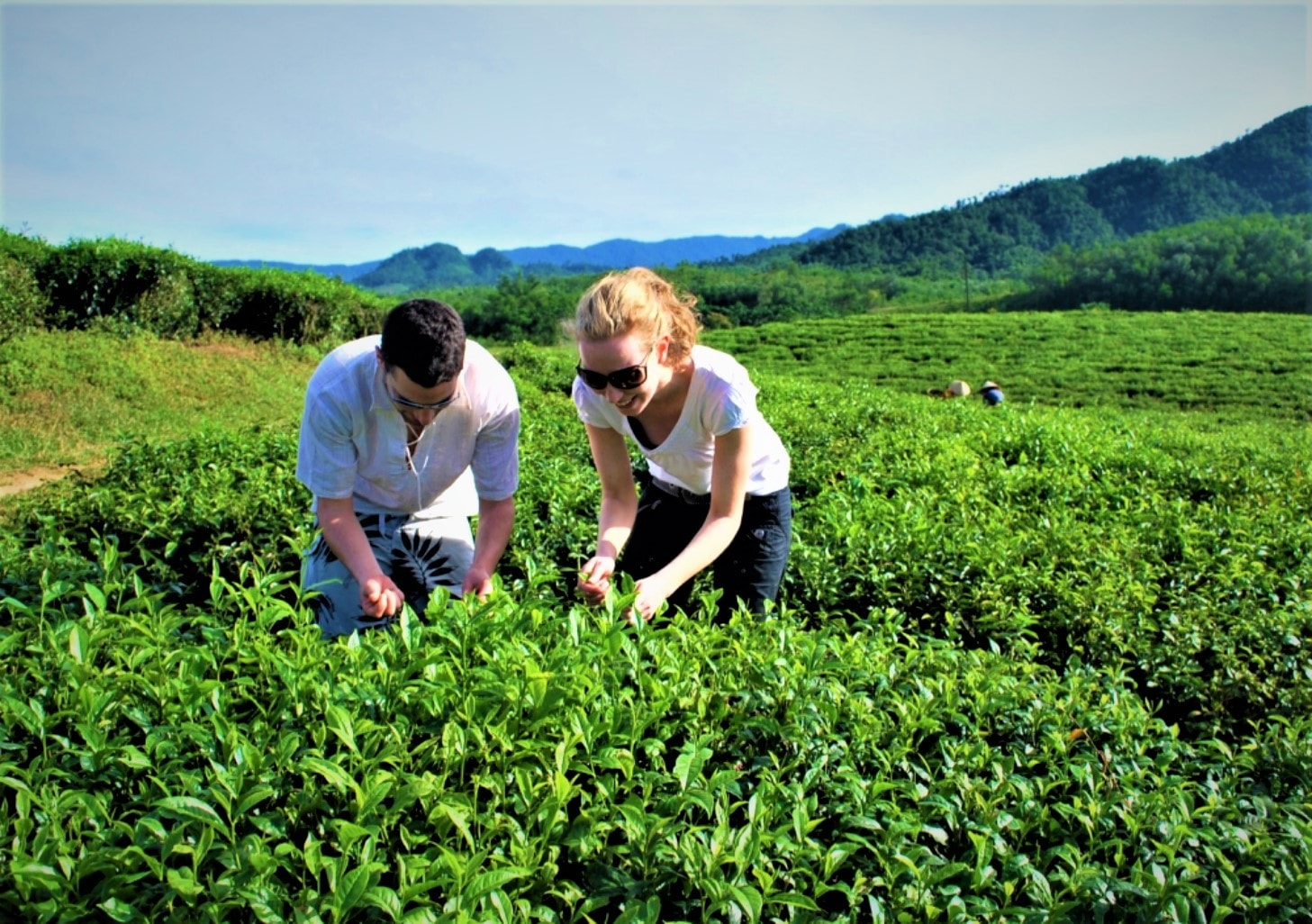 Hương chè Quyết Thắng vùng cao - Ảnh 6.