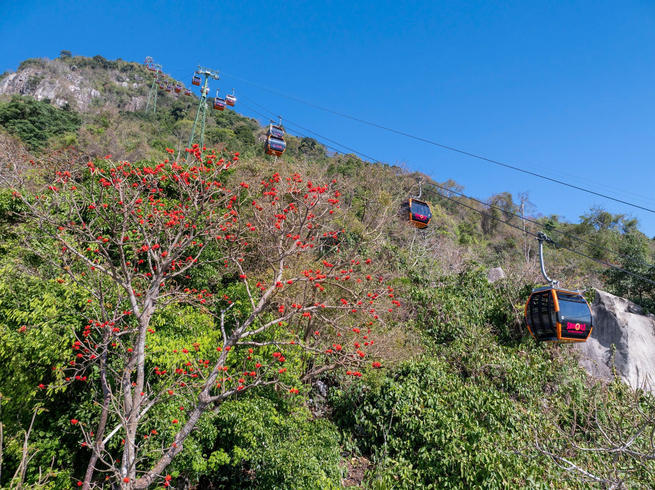 Tháng 3, giới trẻ đổ về núi Bà Đen “săn” ảnh hoa vông nem đỏ rực - Ảnh 4.