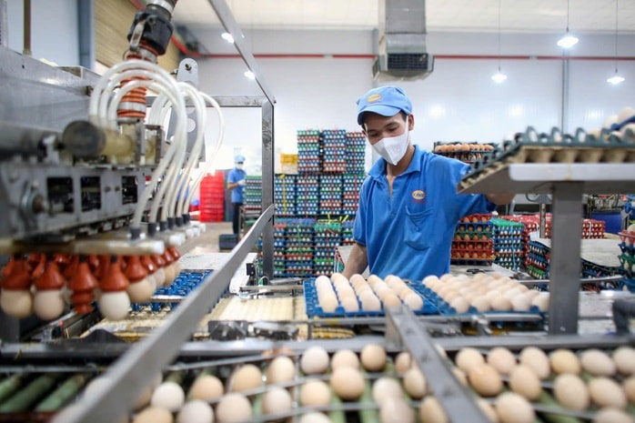 Nỗ lực giữ giá hàng hóa - Ảnh 1.