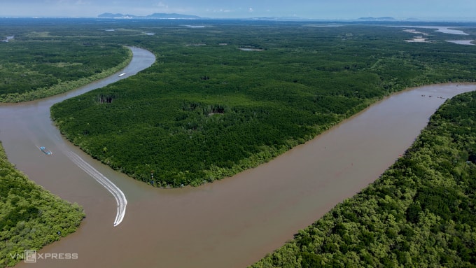 Những cánh rừng ngập mặn bạt ngàn cùng hệ thống kênh rạch tại Cần Giờ, tháng 3/2026. Ảnh: Thanh Tùng