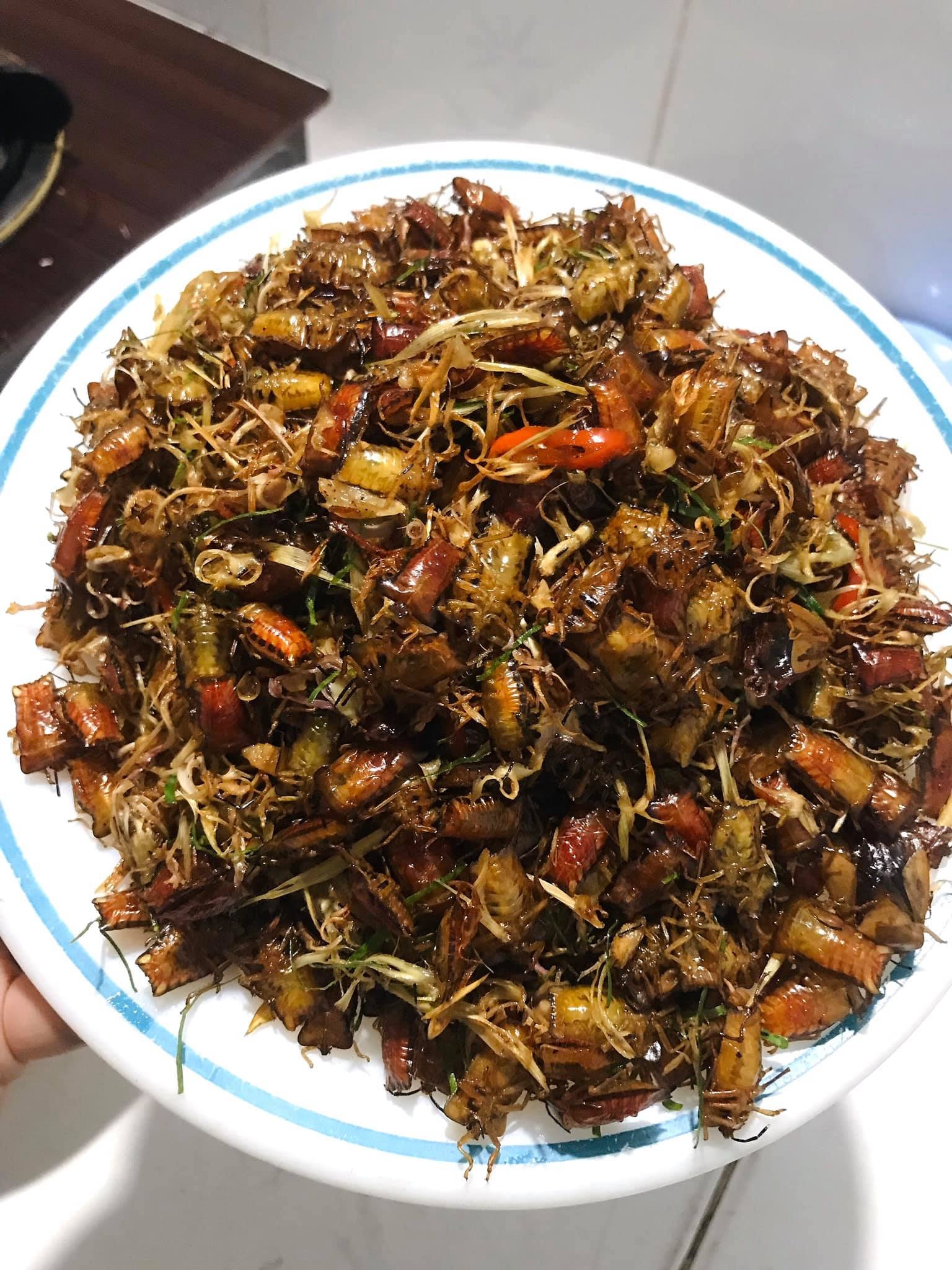 Con đặc sản nhiều người “sợ xanh mặt” lại thành đặc sản Tây Bắc tiền triệu, cách mày râu thích mê tít - Ảnh 7.