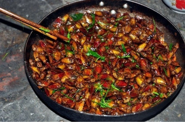 Con đặc sản nhiều người “sợ xanh mặt” lại thành đặc sản Tây Bắc tiền triệu, cách mày râu thích mê tít - Ảnh 2.