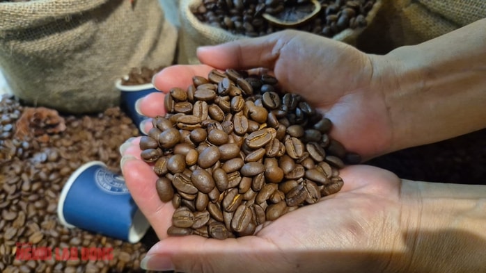 Giá cà phê hôm nay 12-3: Bốc hơi 3 con số bất chấp Brazil xuất khẩu giảm gần 23% - Ảnh 2.