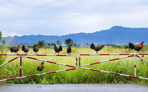 Mua vé số để “xả xui”, người đàn ông trúng giải độc đắc 1 triệu USD - Ảnh 2.