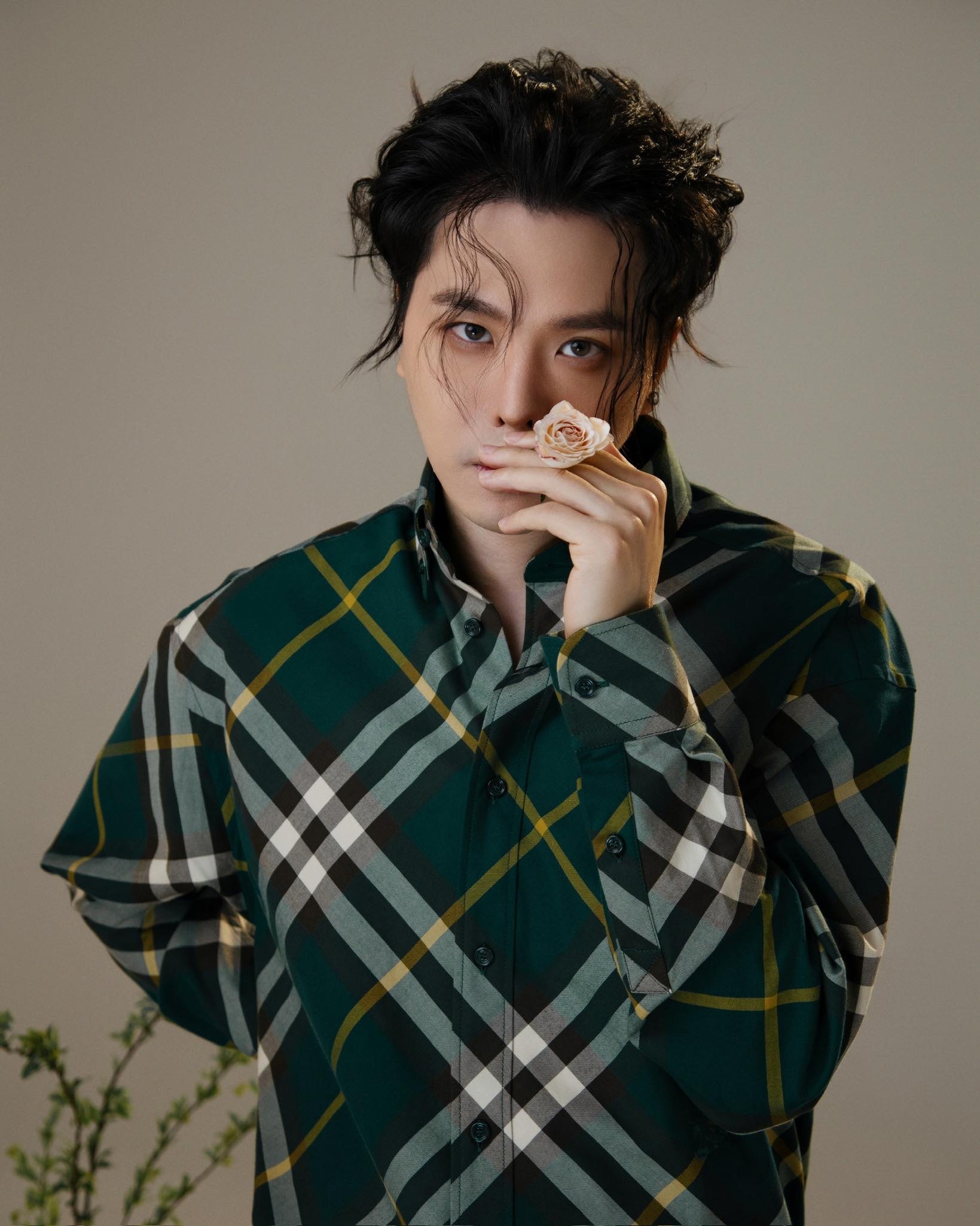 trinh thang binh anh 1