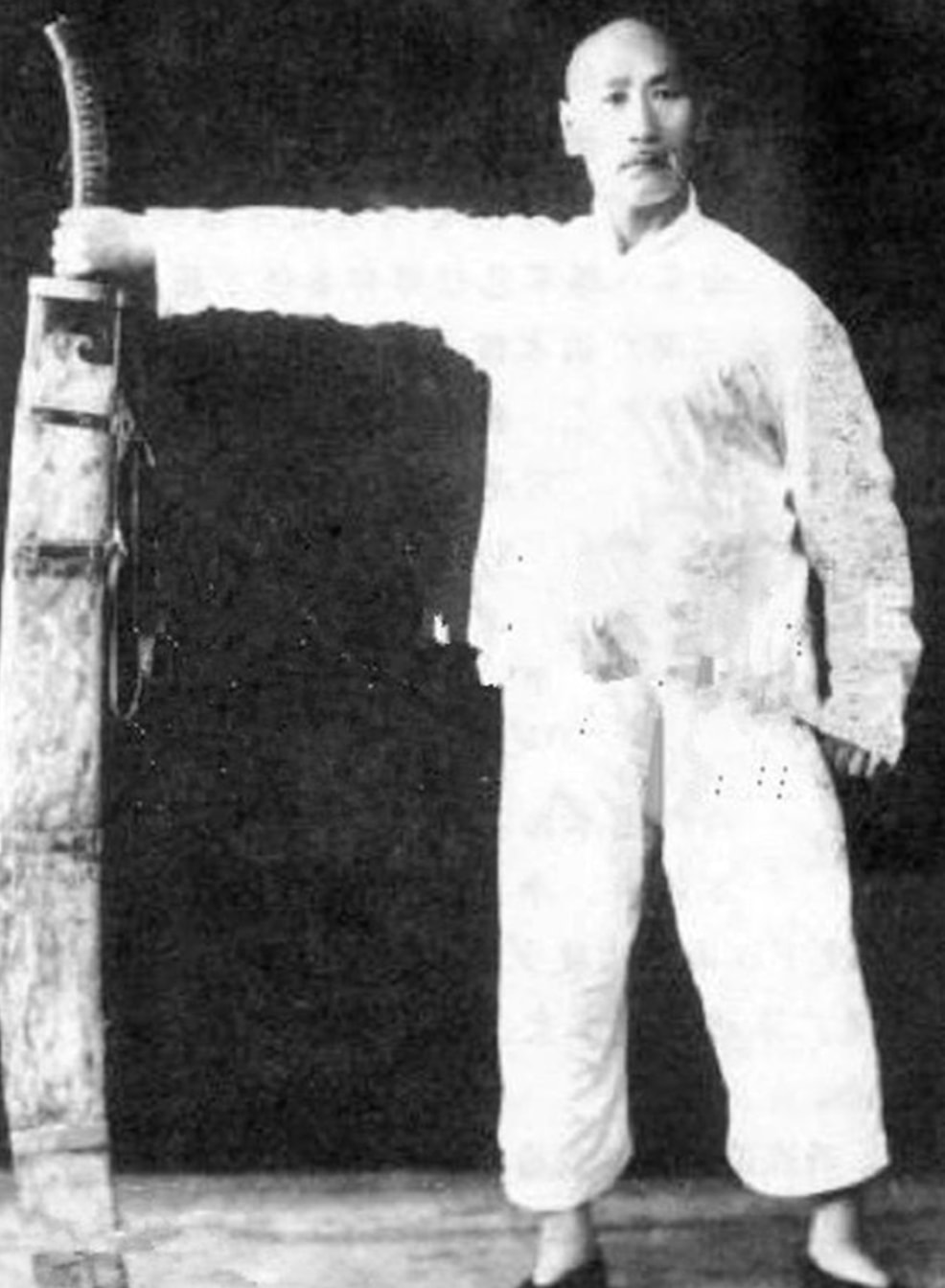 Phó Chấn Tông được tôn vinh là “Thánh võ thuật quốc gia”. (Nguồn: Sohu)