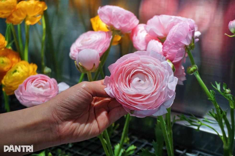 Quán nhỏ ở TPHCM chơi lớn dùng robot pha cà phê, 2 phút có ngay một ly - 7