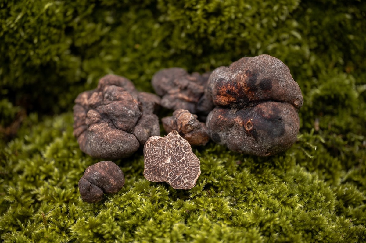 Thứ tưởng bỏ đi ai ngờ đắt hơn vàng, có cái "ngất ngưởng" hơn 3 tỷ đồng - Ảnh 6.