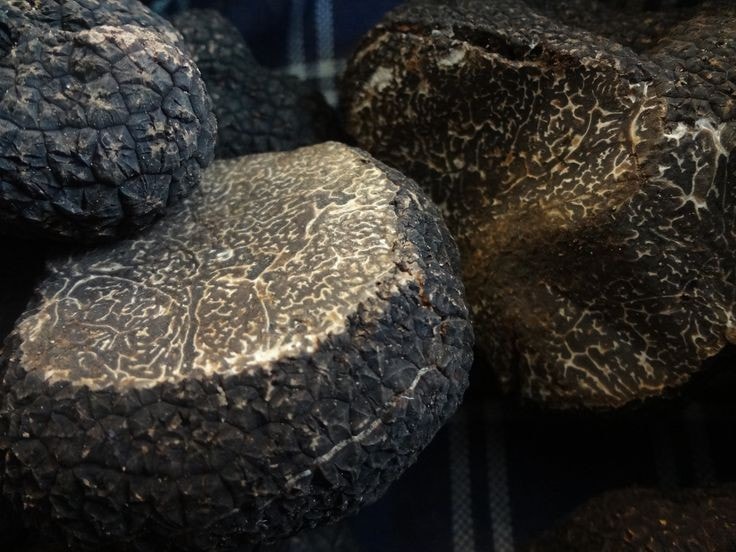 Thứ tưởng bỏ đi ai ngờ đắt hơn vàng, có cái "ngất ngưởng" hơn 3 tỷ đồng - Ảnh 4.