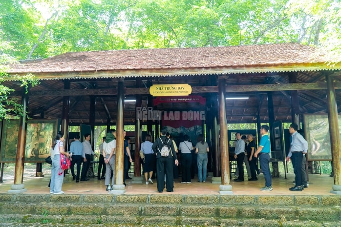 VIDEO: Ngẩn ngơ trước vẻ đẹp thơ mộng của "lá phổi xanh" Dầu Tiếng - Ảnh 5.