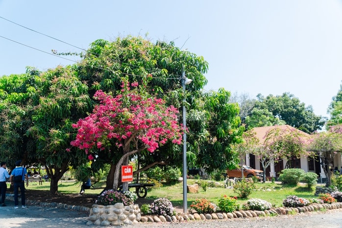 VIDEO: Ngẩn ngơ trước vẻ đẹp thơ mộng của "lá phổi xanh" Dầu Tiếng - Ảnh 9.