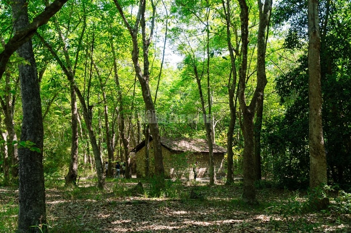 VIDEO: Ngẩn ngơ trước vẻ đẹp thơ mộng của "lá phổi xanh" Dầu Tiếng - Ảnh 10.