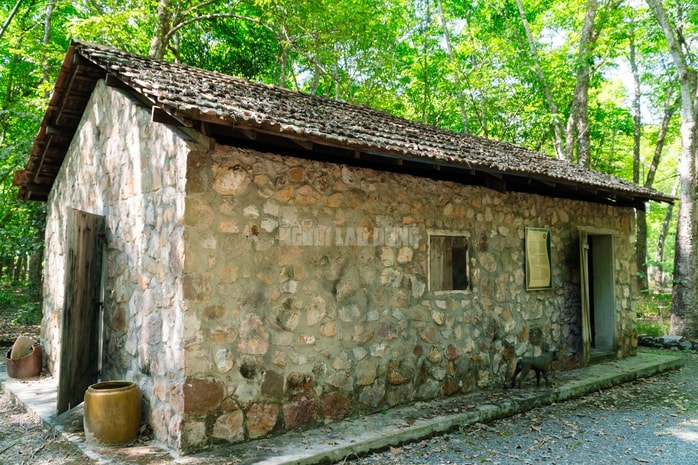 VIDEO: Ngẩn ngơ trước vẻ đẹp thơ mộng của "lá phổi xanh" Dầu Tiếng - Ảnh 16.