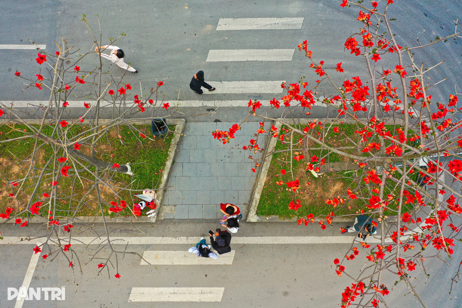 Hà Nội lãng mạn mùa hoa khoe sắc - 14 Hà Nội lãng mạn mùa hoa khoe sắc - 14