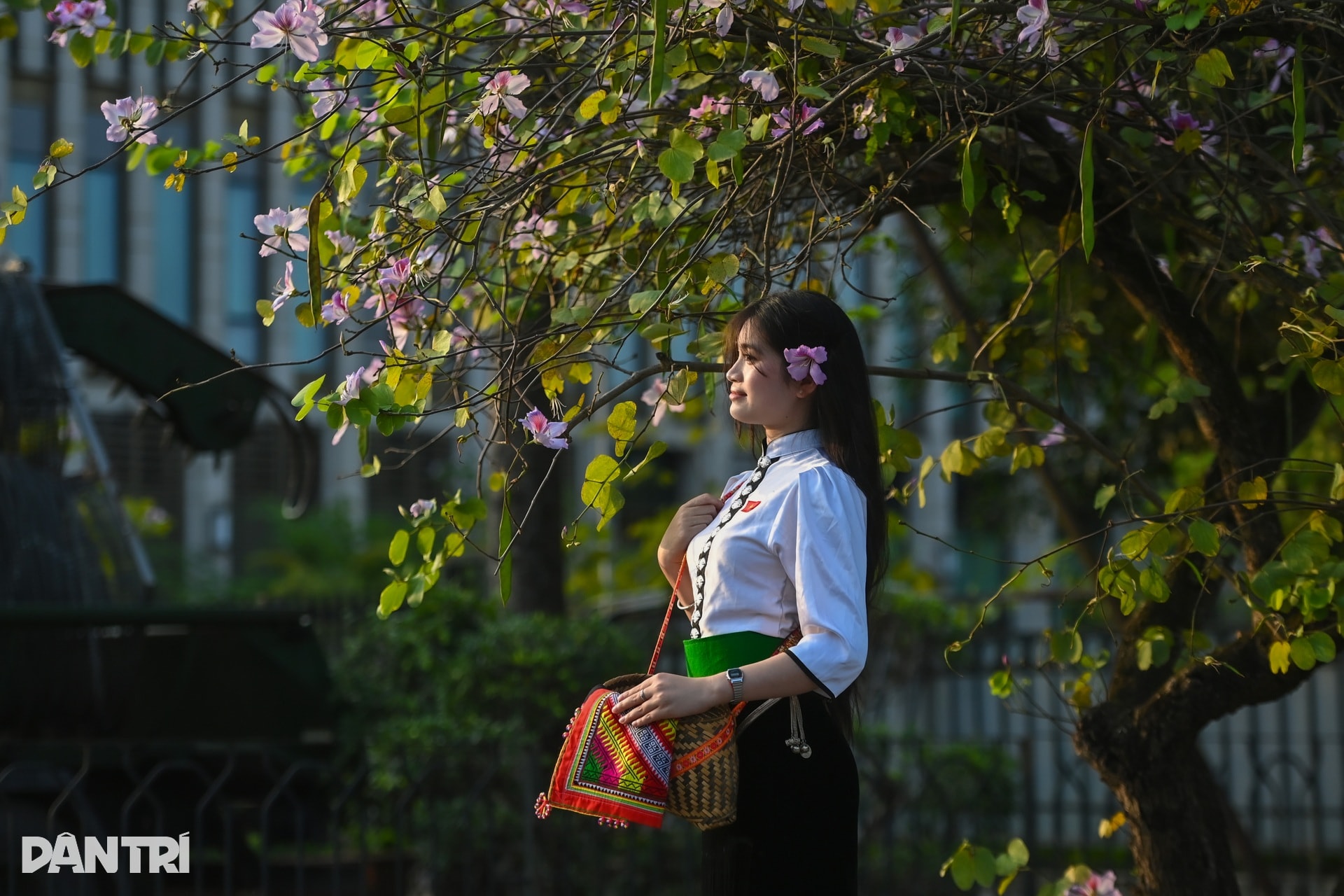 Hà Nội lãng mạn mùa hoa khoe sắc - 7 Hà Nội lãng mạn mùa hoa khoe sắc - 7