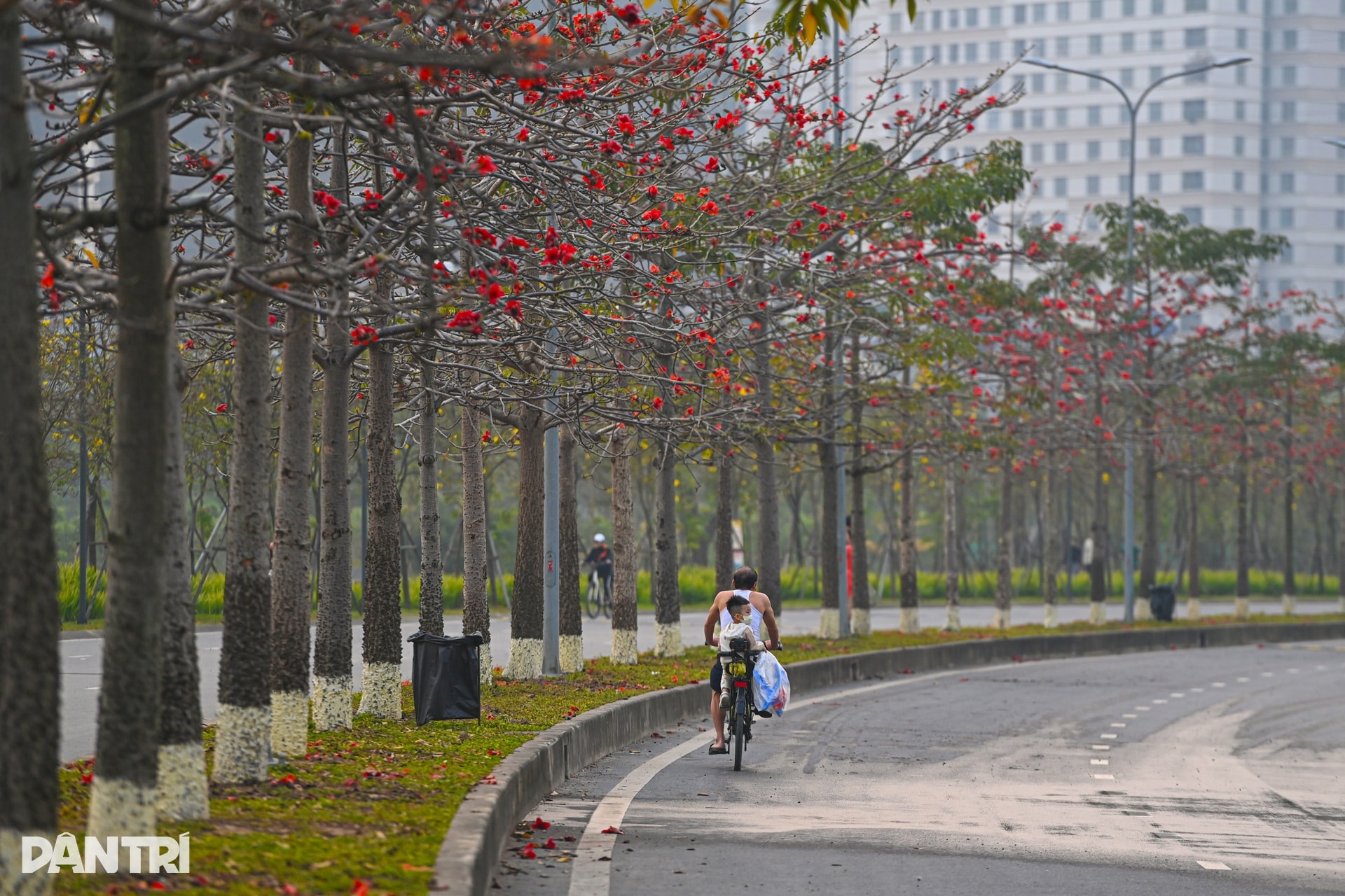 Hà Nội lãng mạn mùa hoa khoe sắc - 13 Hà Nội lãng mạn mùa hoa khoe sắc - 13