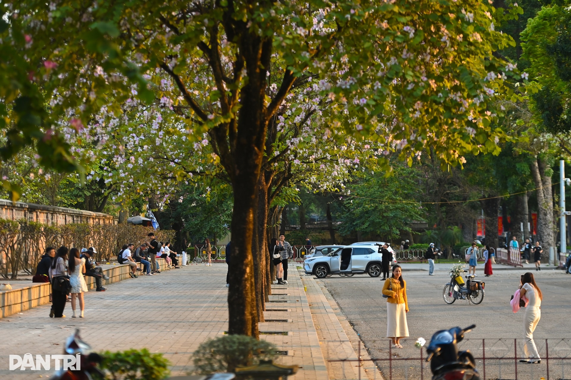 Hà Nội lãng mạn mùa hoa khoe sắc - 2 Hà Nội lãng mạn mùa hoa khoe sắc - 2
