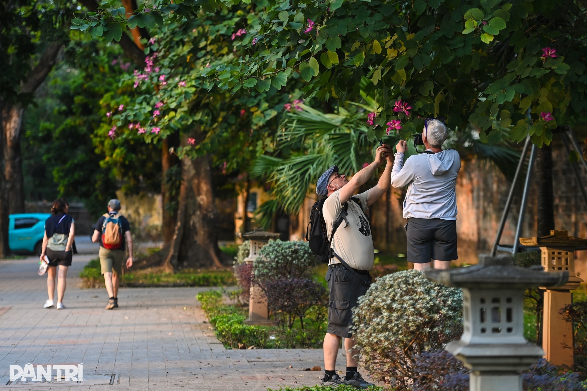 Hà Nội lãng mạn mùa hoa khoe sắc - 11 Hà Nội lãng mạn mùa hoa khoe sắc - 11