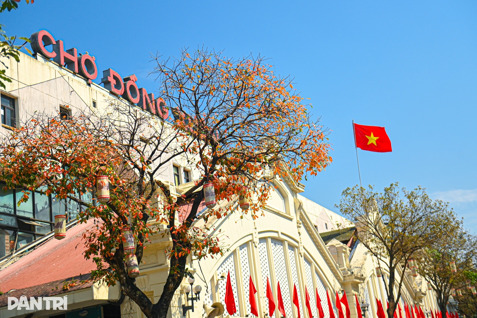 Hà Nội lãng mạn mùa hoa khoe sắc - 1 Hà Nội lãng mạn mùa hoa khoe sắc - 1