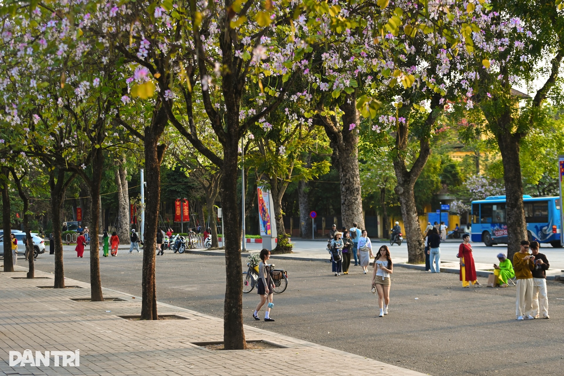 Hà Nội lãng mạn mùa hoa khoe sắc - 10 Hà Nội lãng mạn mùa hoa khoe sắc - 10