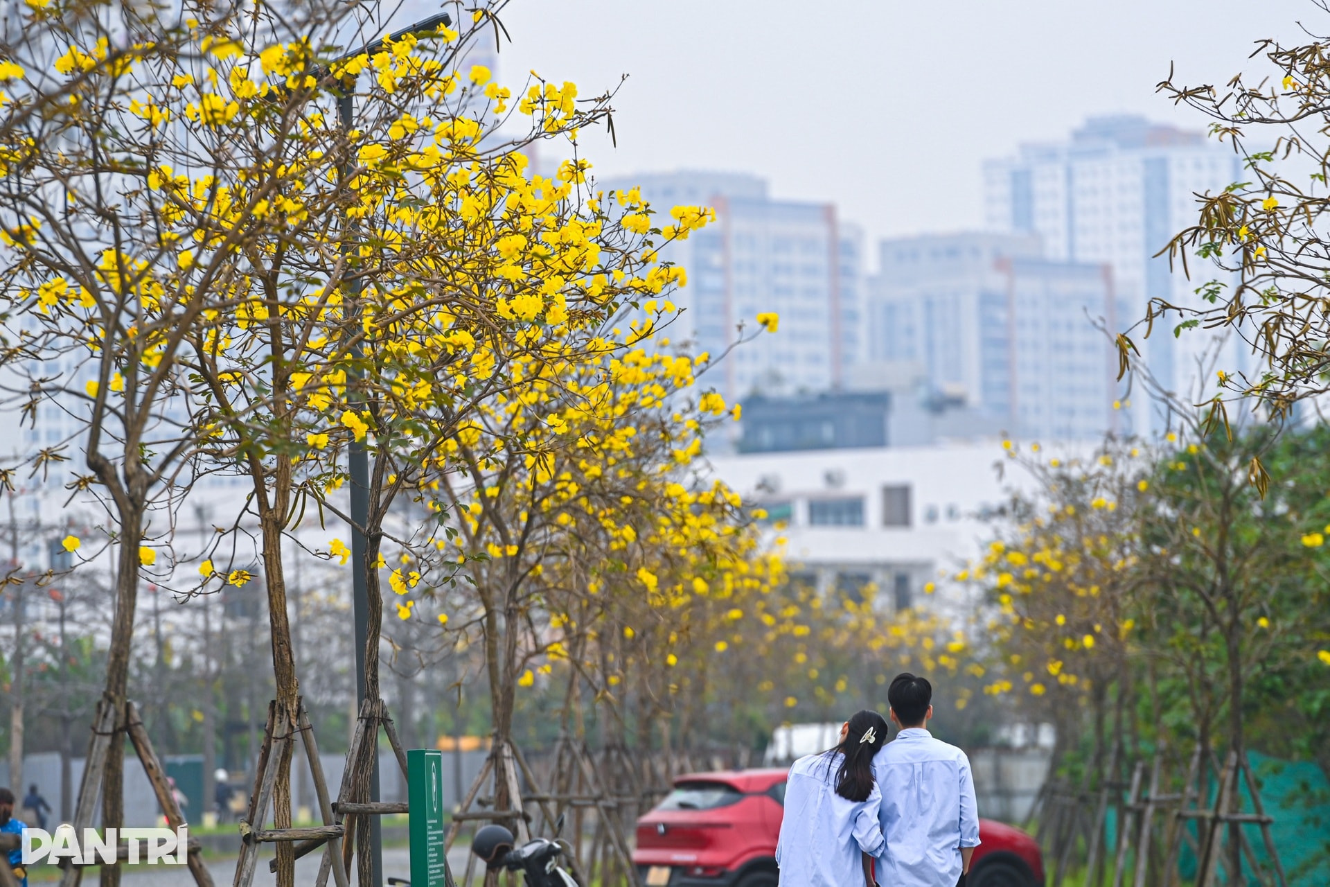Hà Nội lãng mạn mùa hoa khoe sắc - 16 Hà Nội lãng mạn mùa hoa khoe sắc - 16