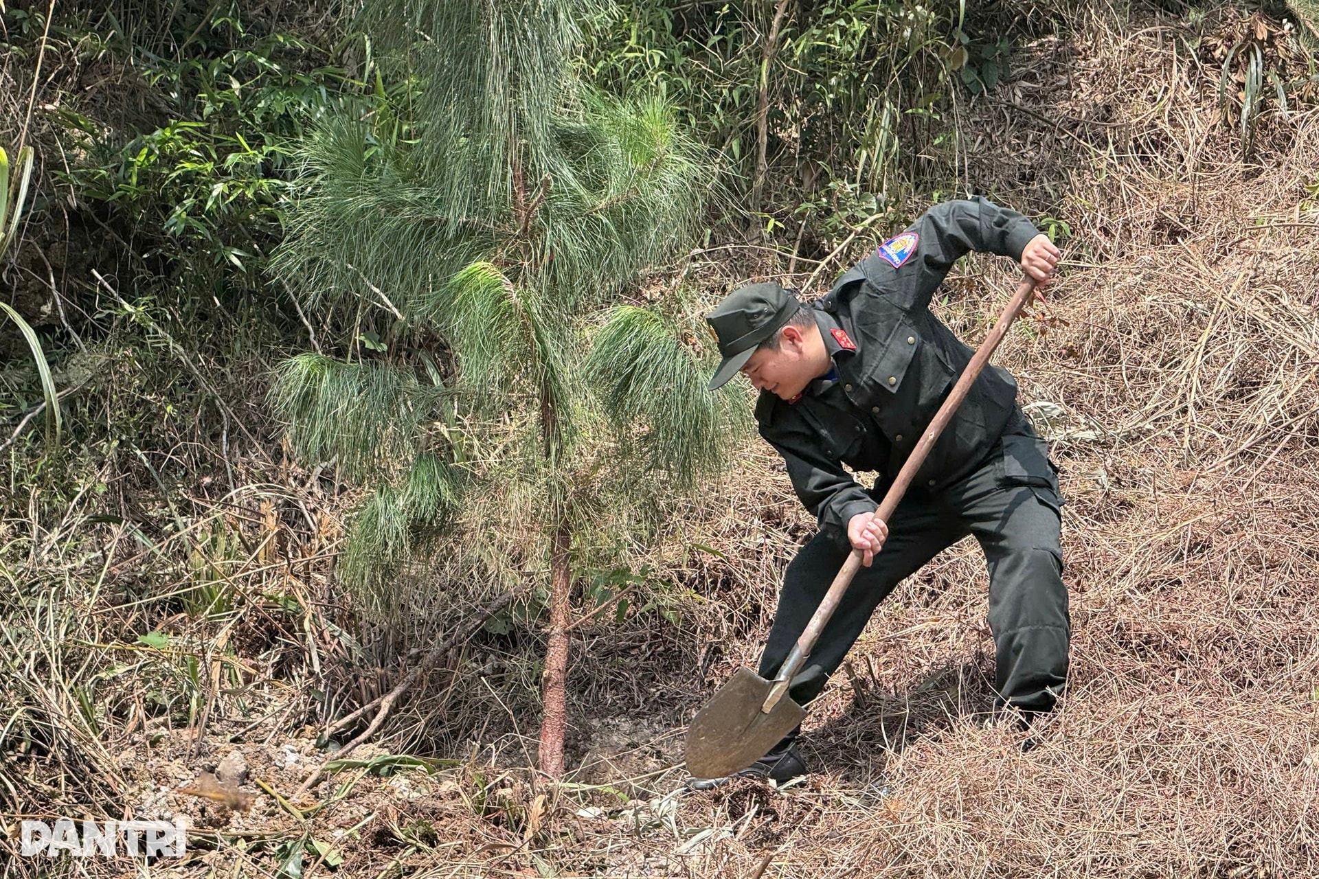 Cục Đào tạo Bộ Công an phát động “Tết trồng cây vì một Việt Nam xanh” - 10