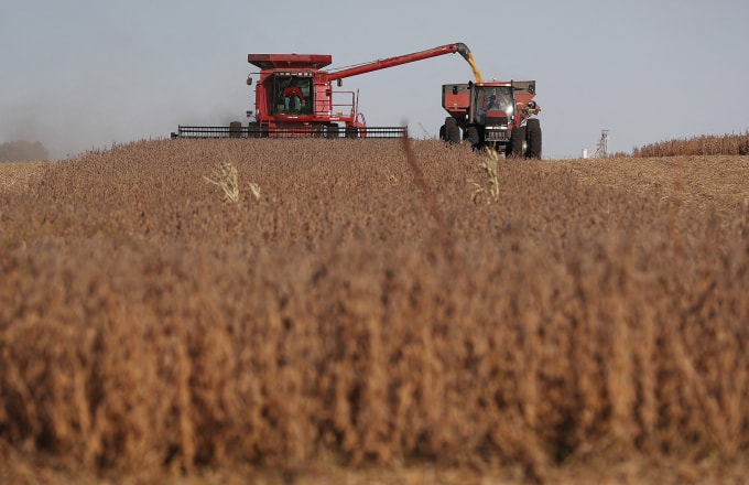 Nông dân thu hoạch đậu tương trên một cánh đồng ở Rippey, bang Iowa tháng 10/2019. Ảnh: AFP