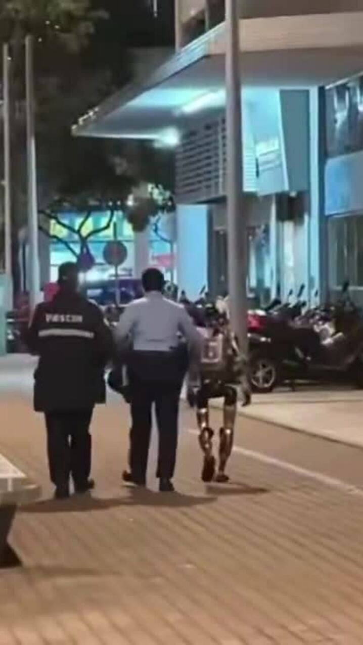 Robot hình người bị cảnh sát 'bắt' vì dọa cụ bà 70 tuổi