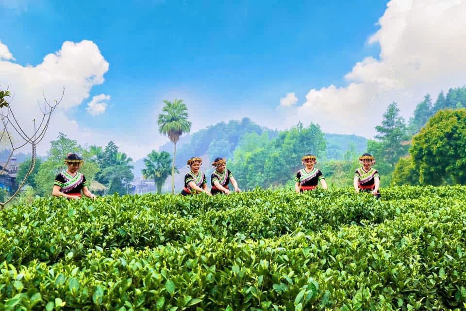 Những mùa hương trên vai núi - Ảnh 2.