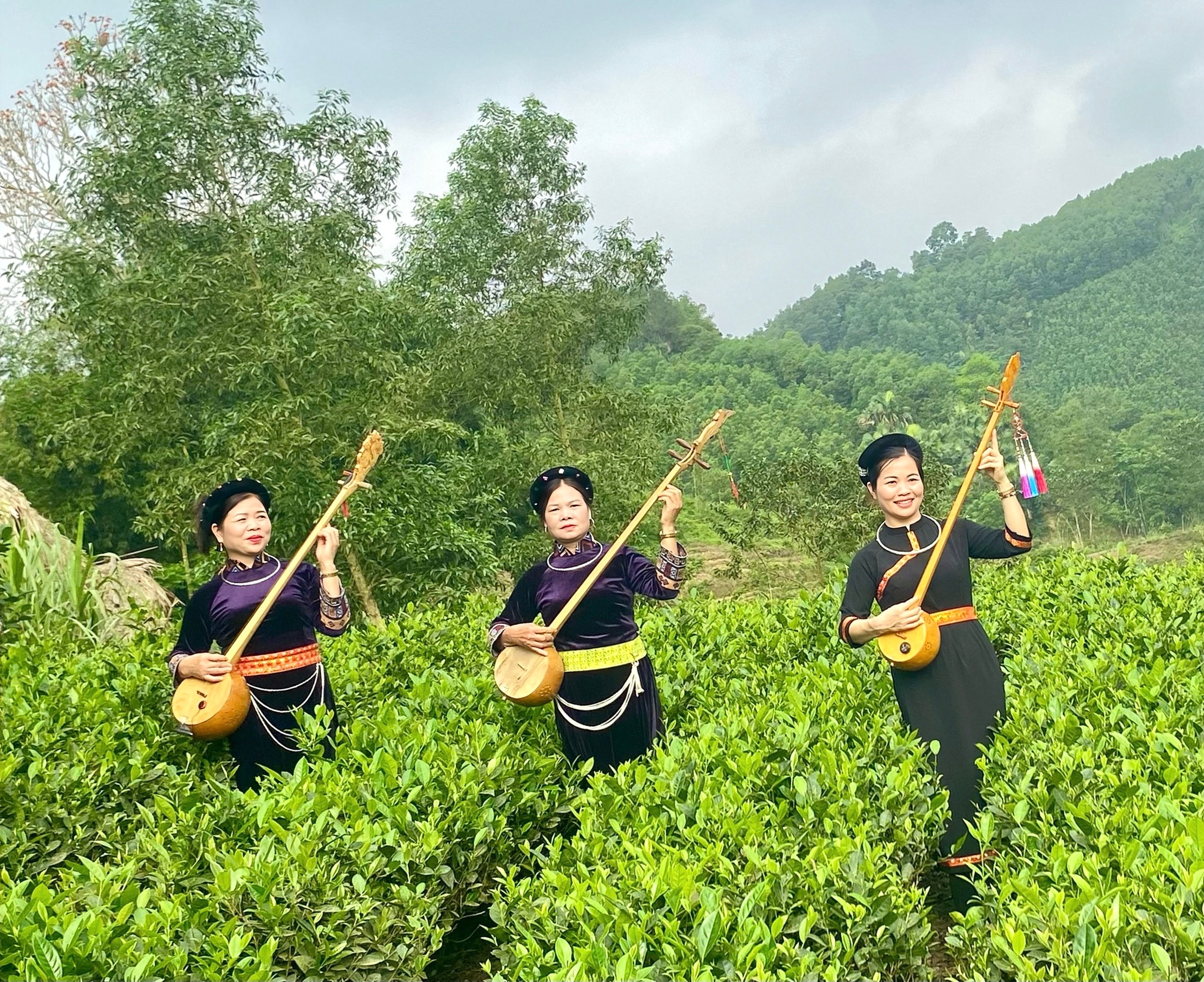 Những mùa hương trên vai núi - Ảnh 6.