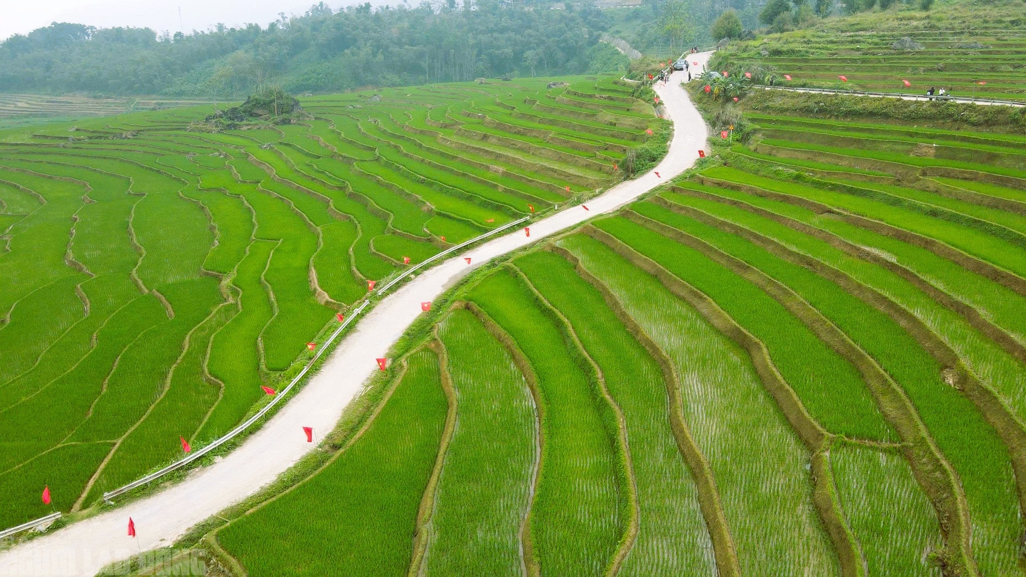 Điểm du lịch nổi tiếng ở Thanh Hóa rực rỡ cờ Tổ quốc trước ngày bầu cử - Ảnh 2.
