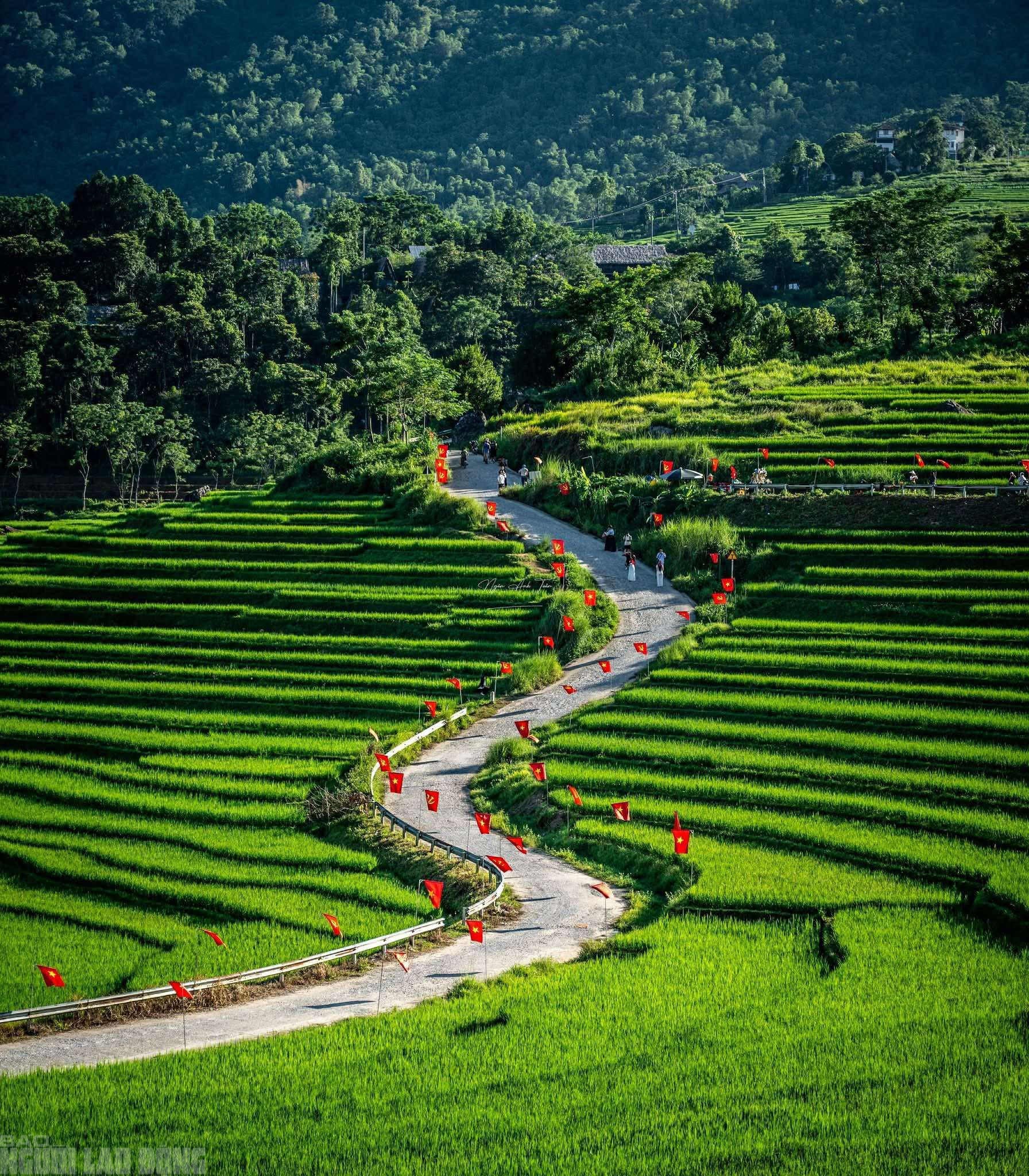 Điểm du lịch nổi tiếng ở Thanh Hóa rực rỡ cờ Tổ quốc trước ngày bầu cử - Ảnh 14.