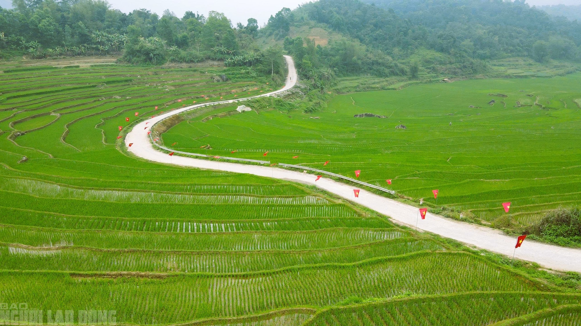 Điểm du lịch nổi tiếng ở Thanh Hóa rực rỡ cờ Tổ quốc trước ngày bầu cử - Ảnh 12.