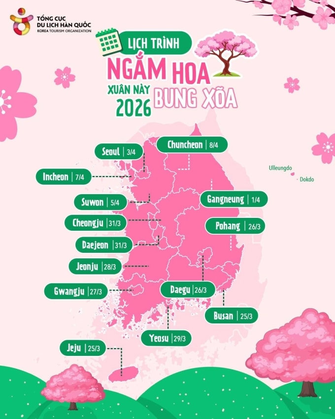 Lịch dự kiến mùa hoa anh đào tại các vùng ở Hàn Quốc 2026. Ảnh: KTO