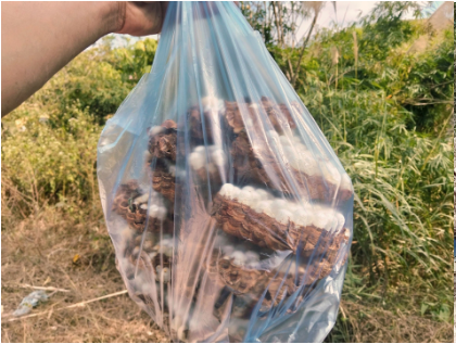 Con đặc sản “nhìn đã thấy sợ” ở Tây Bắc xưa không ai ngó, nay thành món ăn được dân nhậu mê tít săn lùng- Ảnh 1.