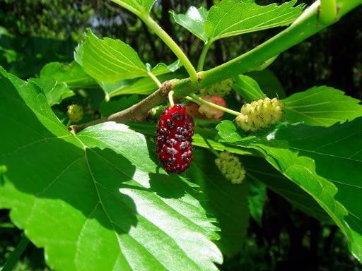 Cách kiểm soát tình trạng ra mồ hôi tay hiệu quả bậc nhất - Ảnh 4.